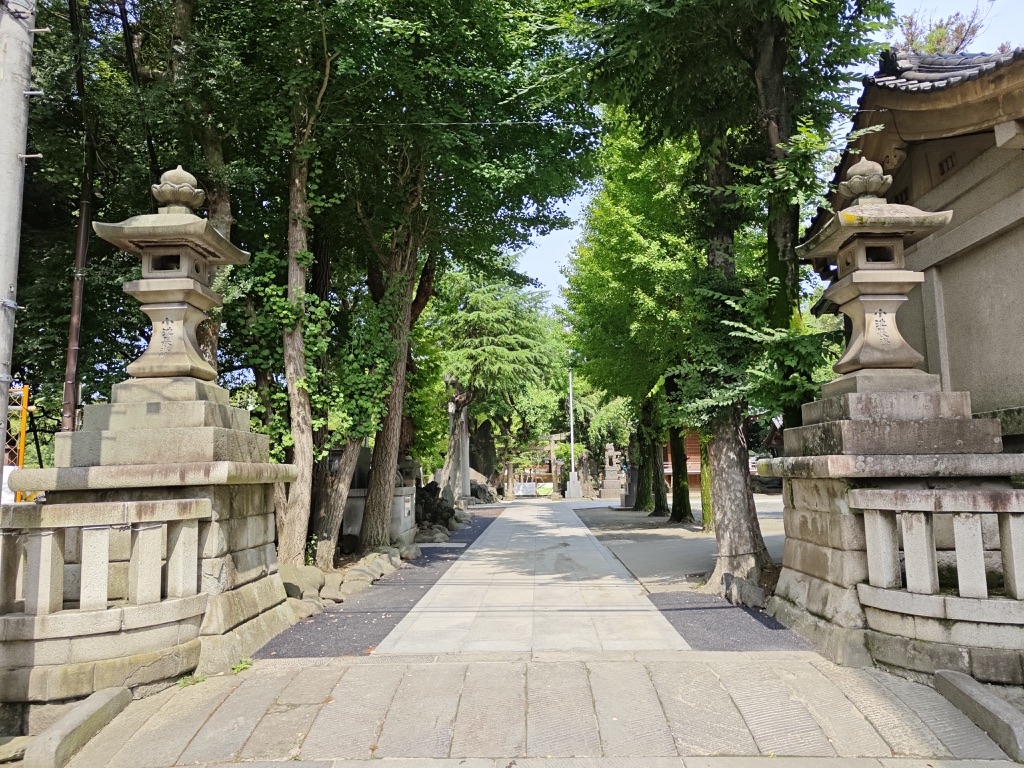 Image 23